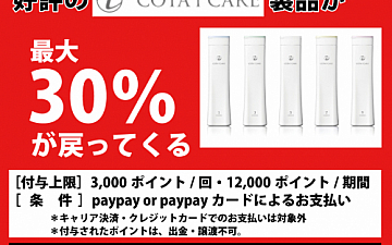 「墨田区PayPay30%還元キャンペーン」