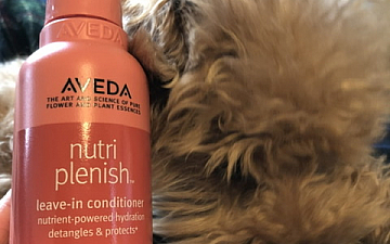 静電気には保湿を