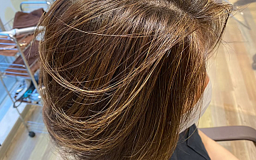 リミテッドブリーチ