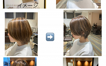 サロンスタイル (ウルフ系 デザイン)